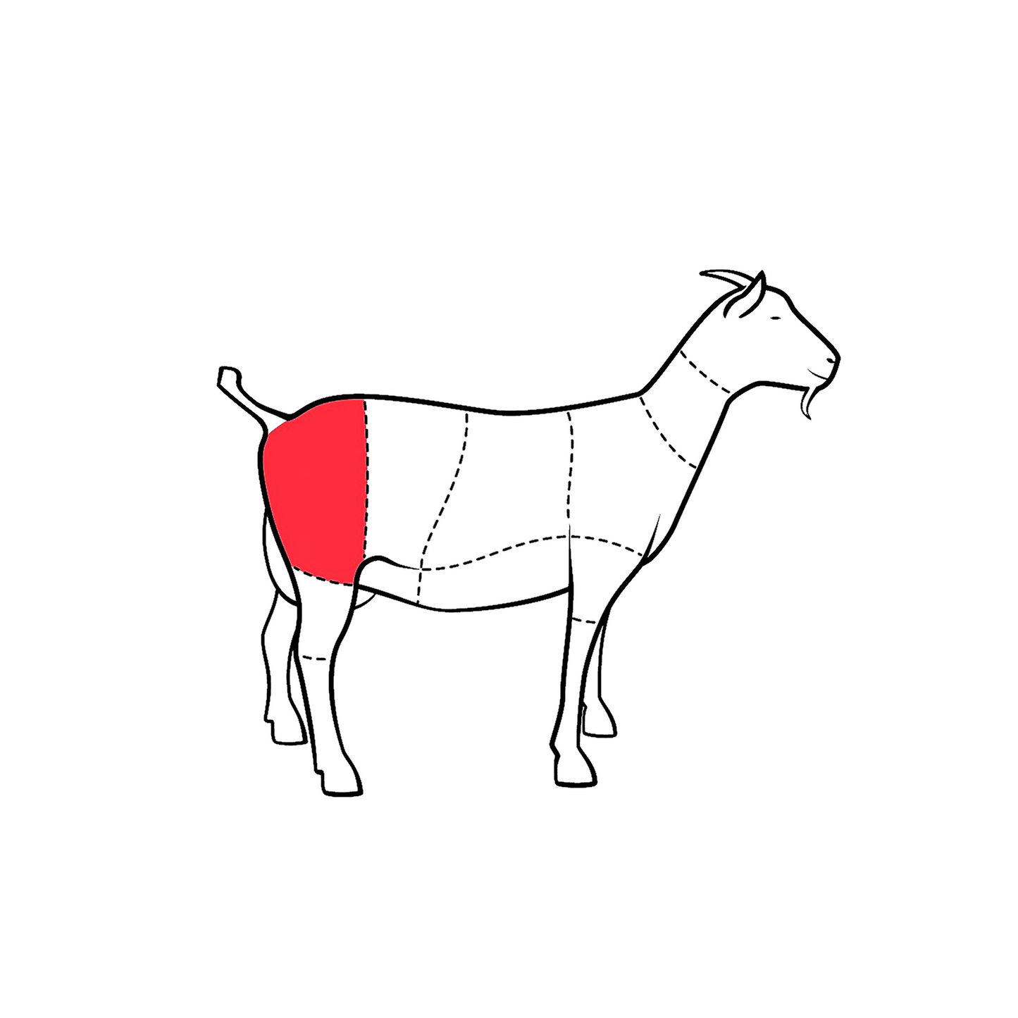 Diagram of a goat meat chart, highlighting the goat leg area in red.