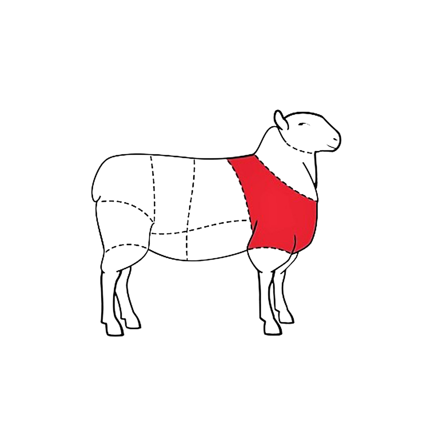 Diagram of a sheep meat chart, highlighting the shoulder area in red.