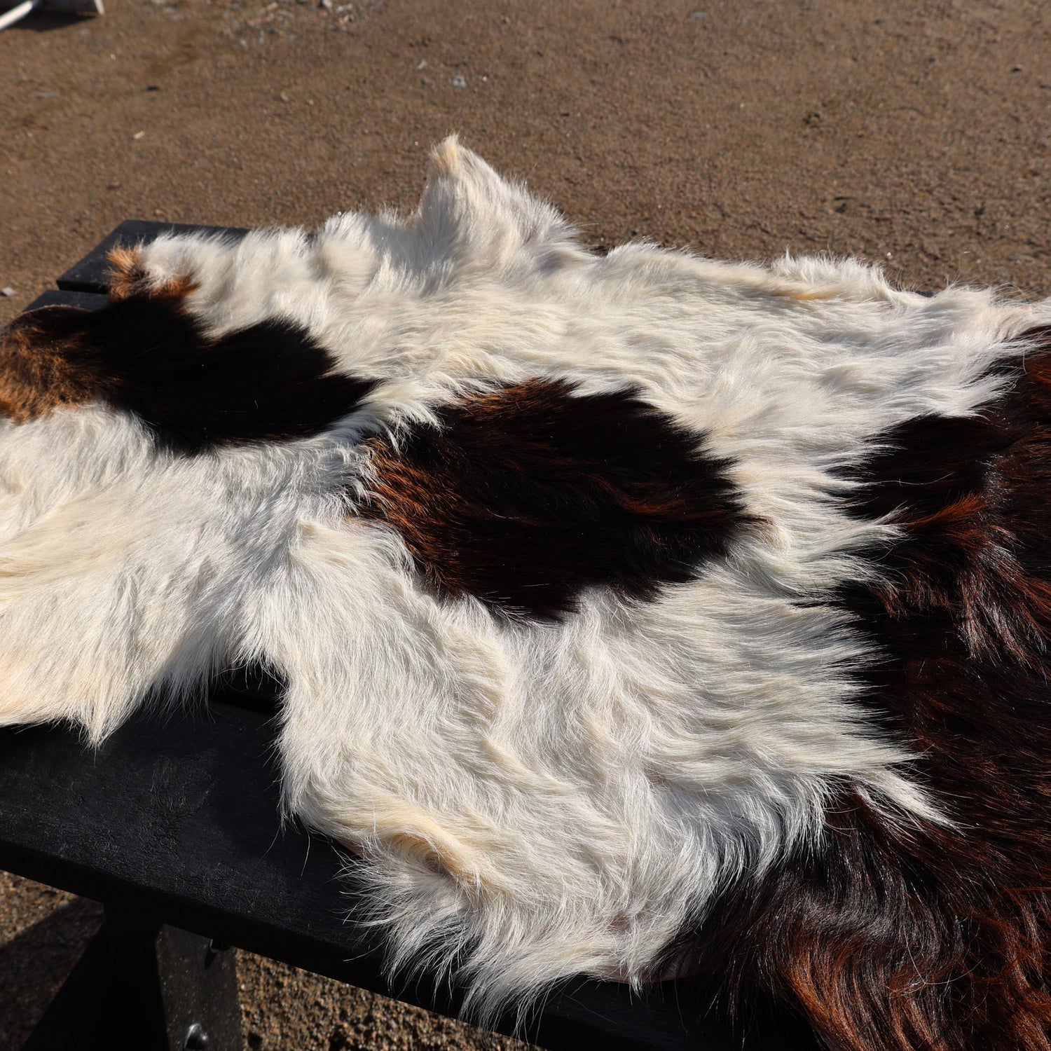 Boer Goat animal skin displayed in the sun.