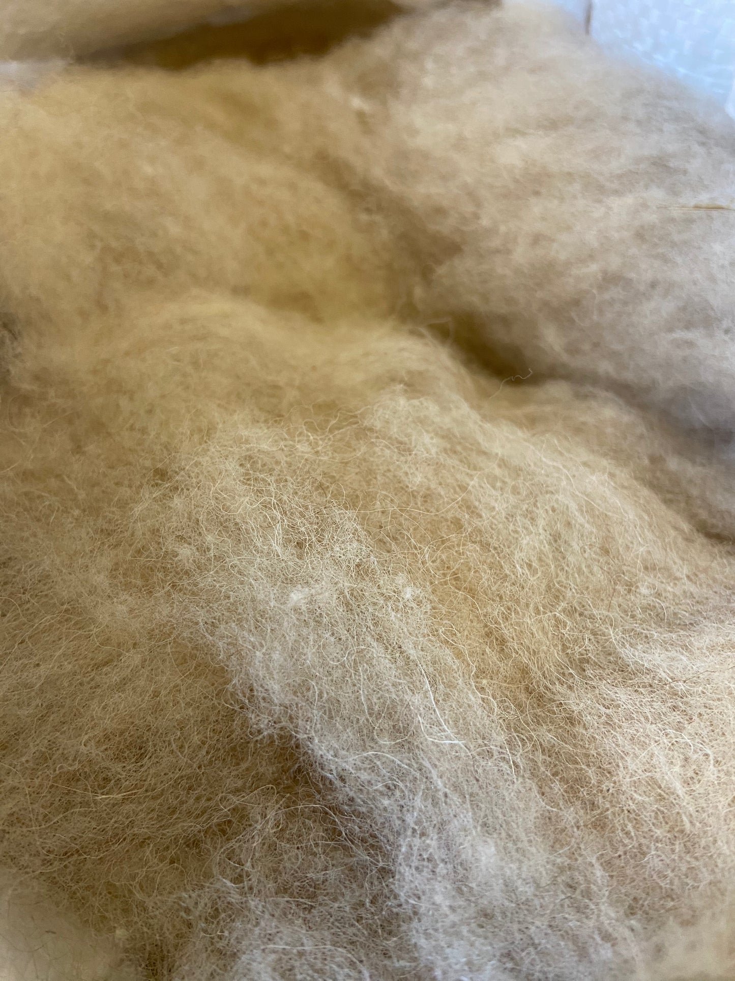 Close-up of Elchies Farm felted wool in the colour 'Fawn'.