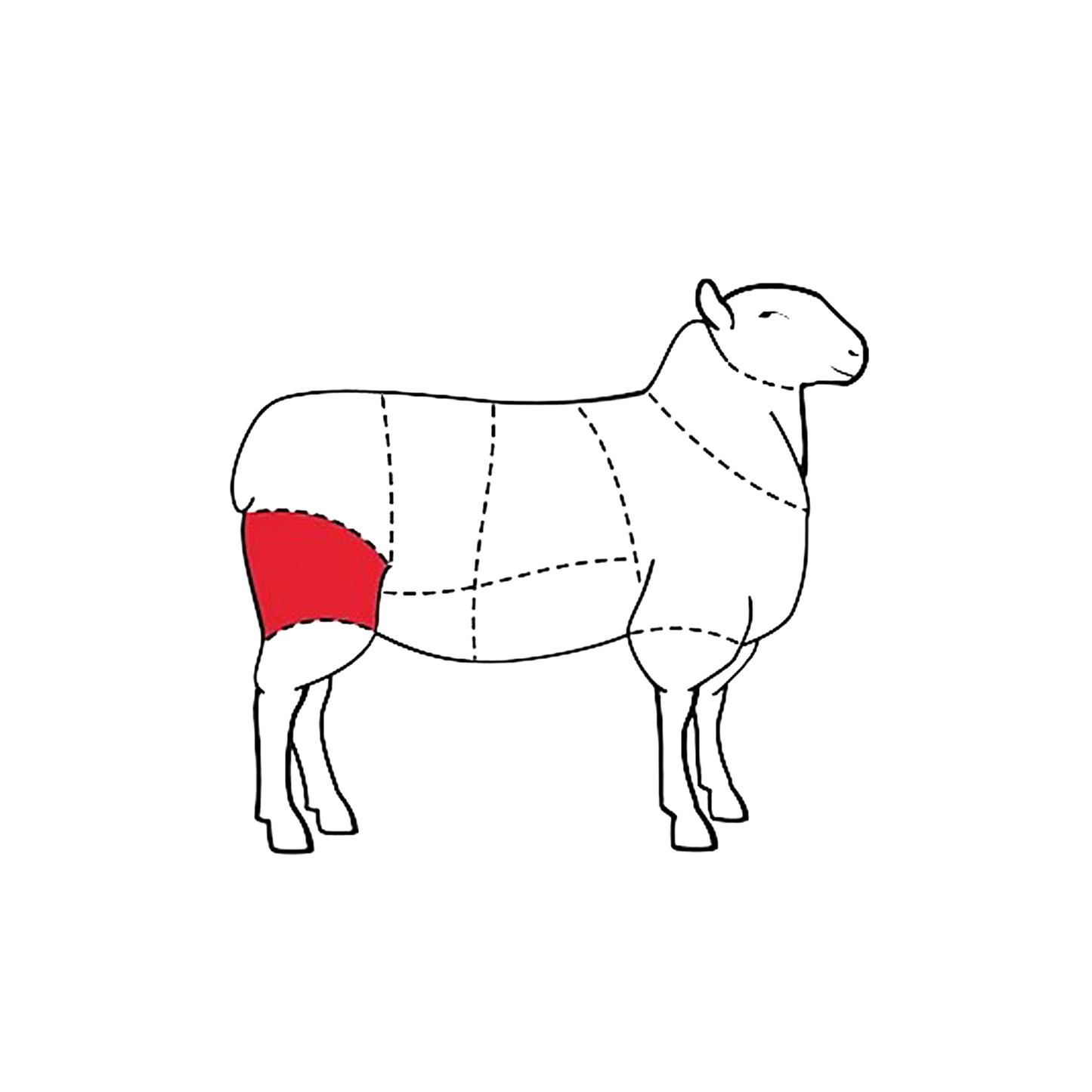 Diagram of a sheep meat chart, highlighting the leg area in red.
