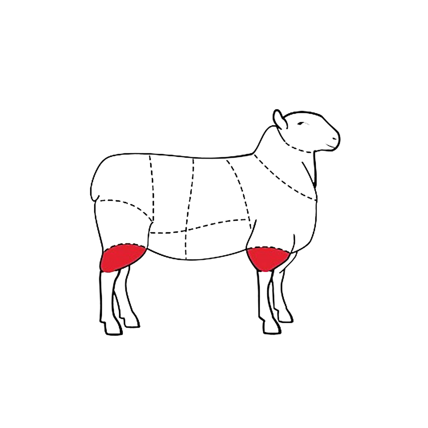 Diagram of a sheep meat chart, highlighting the shank area in red.