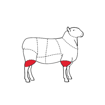 Diagram of a sheep meat chart, highlighting the shank area in red.