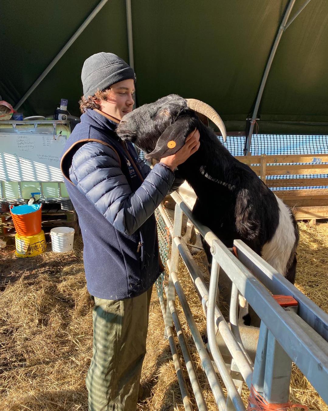 Max greeting a goat.