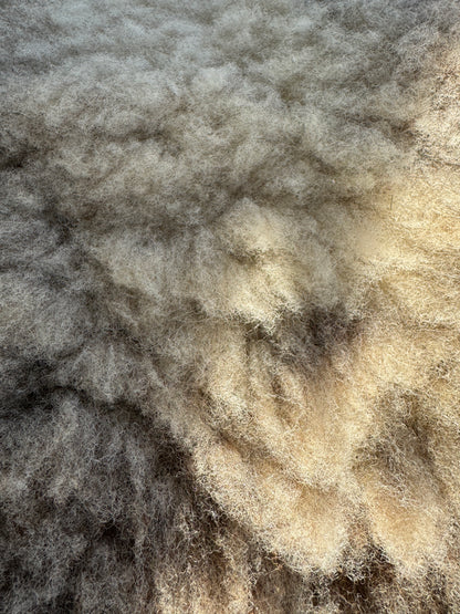 Close-up of Sheep Skin #1.