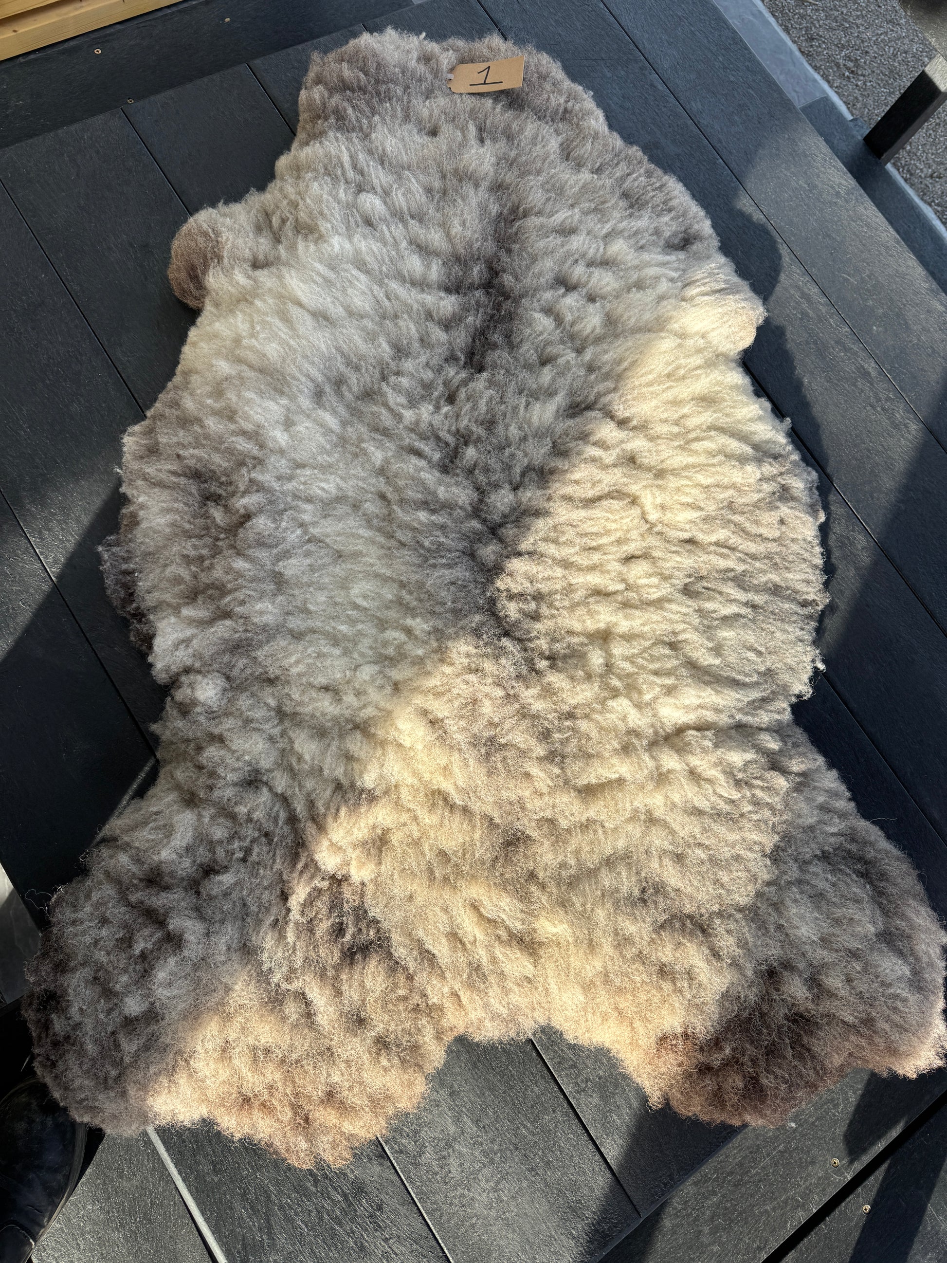 Sheep Skin #1