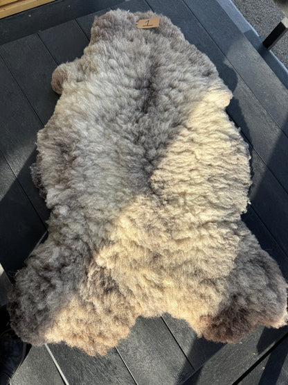 Sheep Skin #1