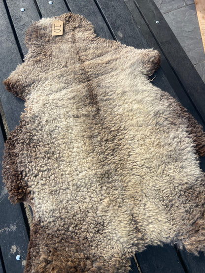 Sheep Skin #10.