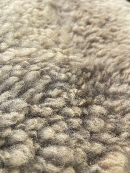 Close-up of Sheep Skin #10.