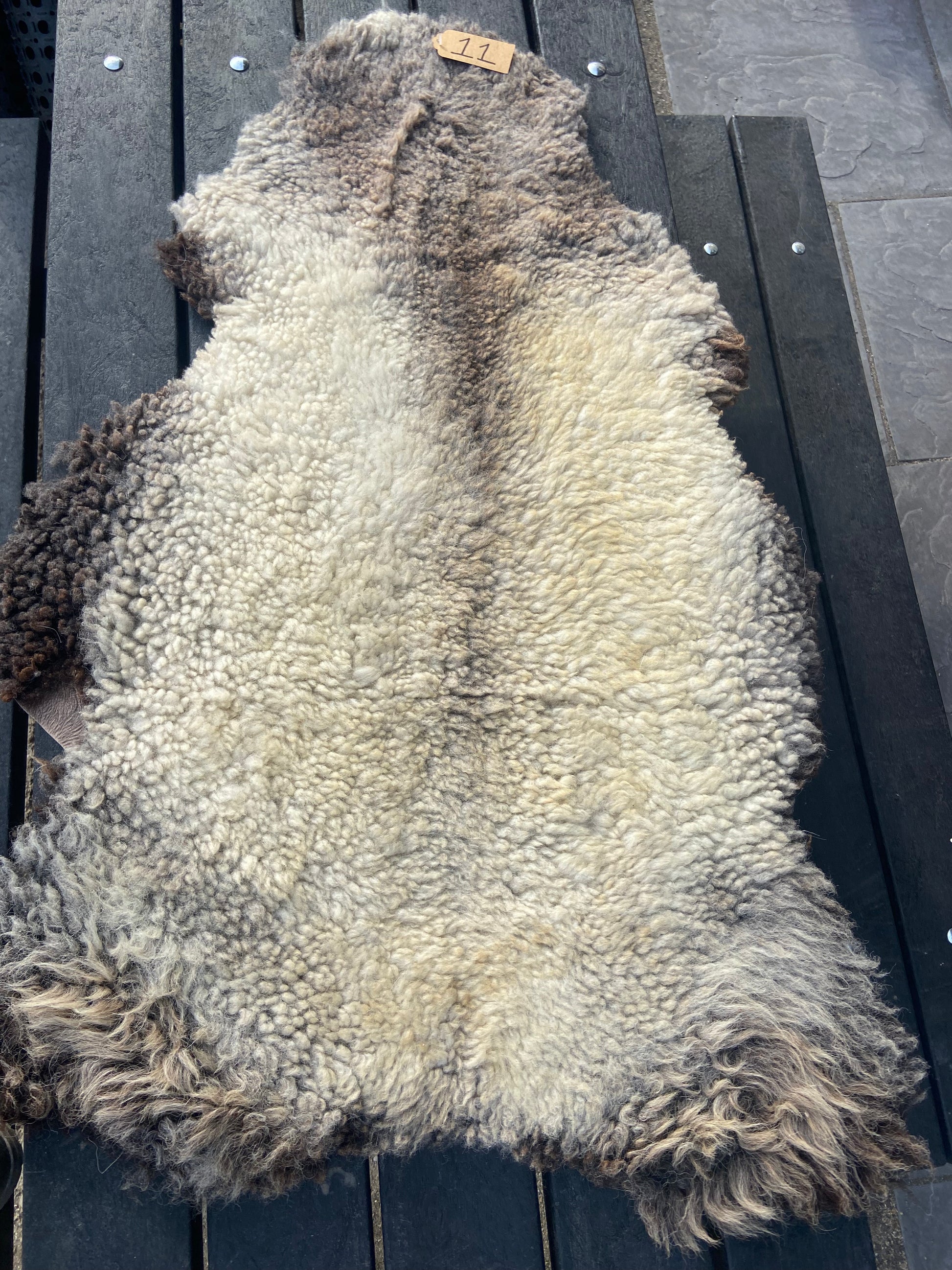 Sheep Skin #11.