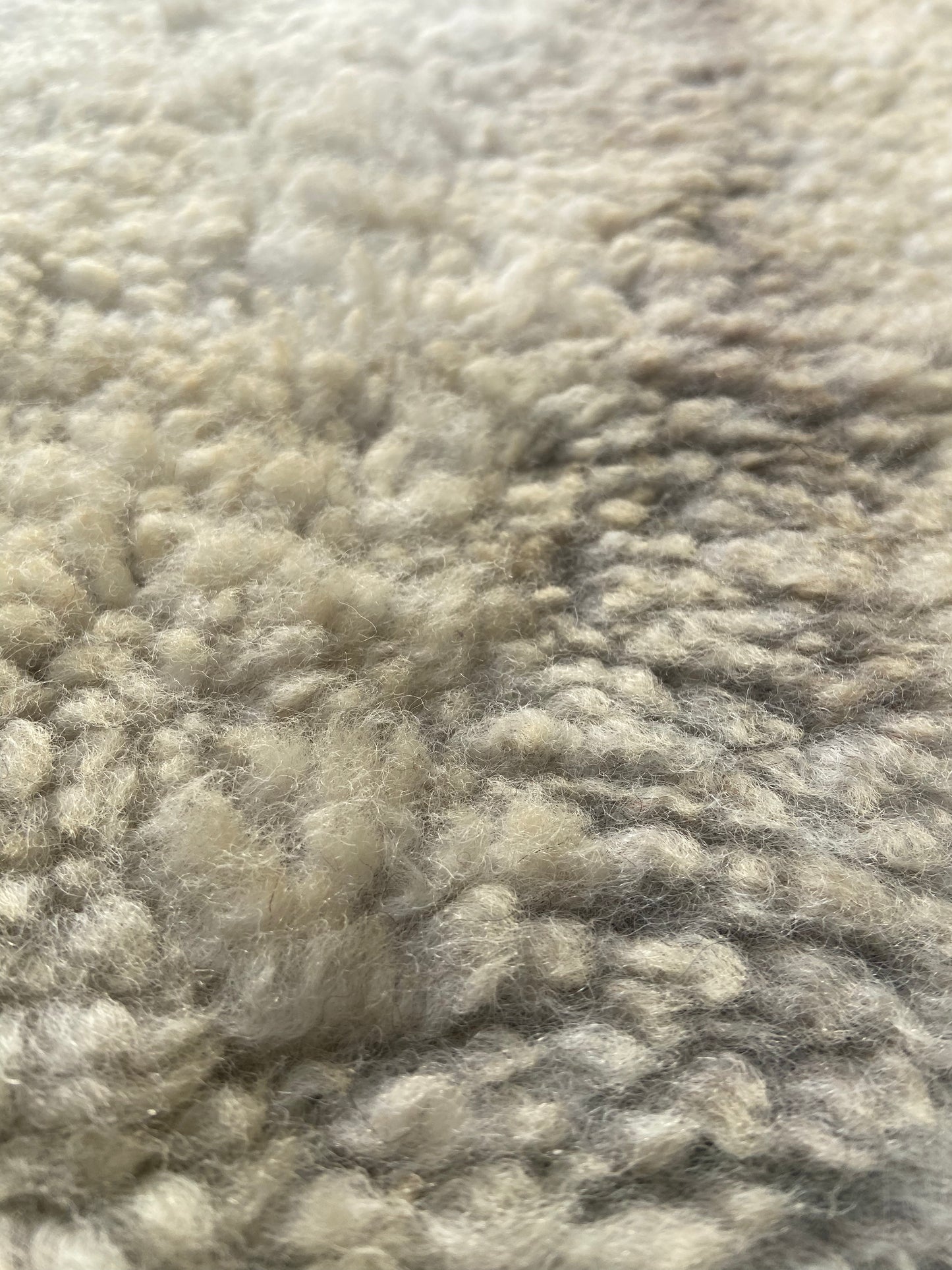 Close-up of Sheep Skin #11.