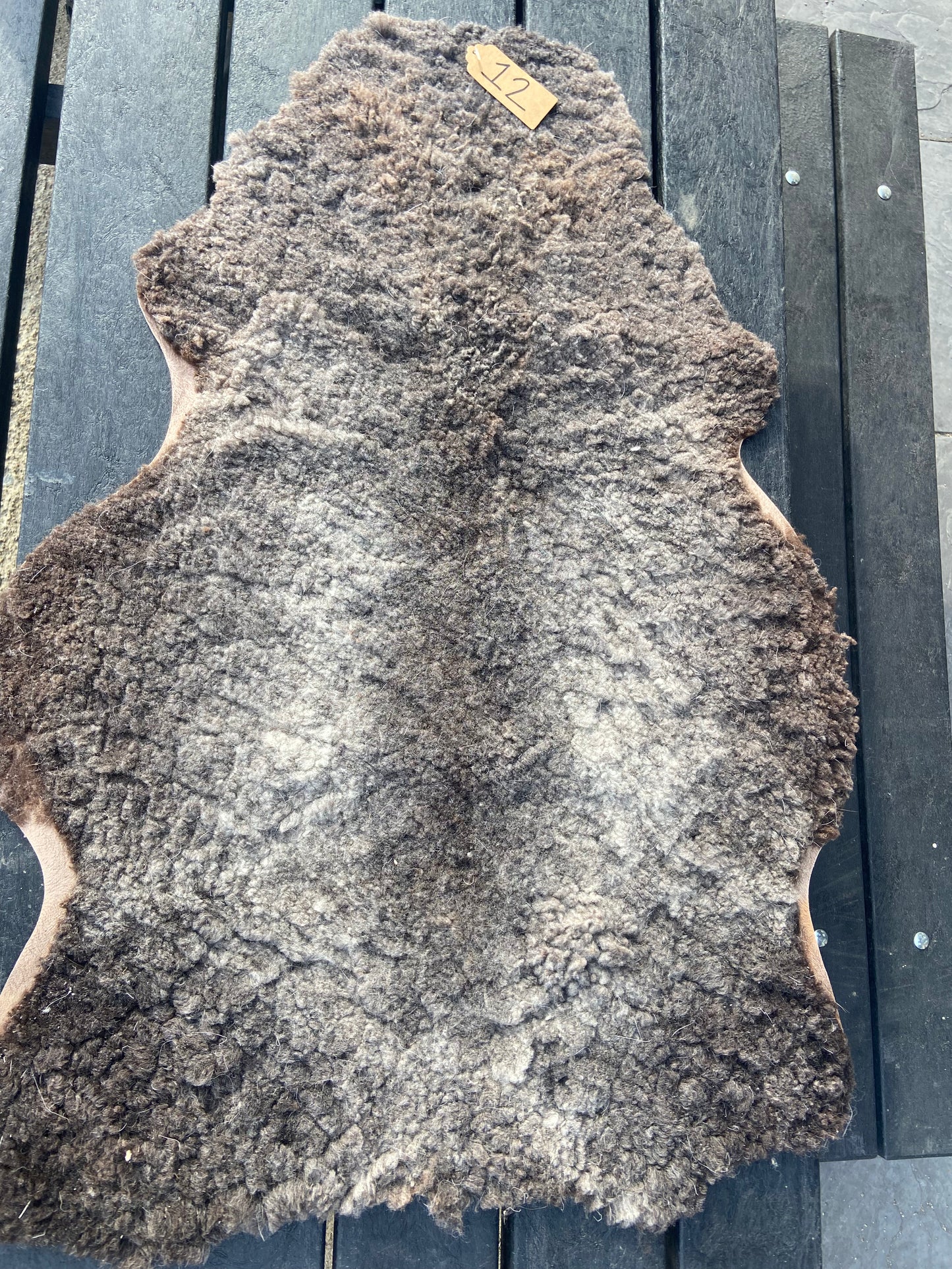 Sheep Skin #12.