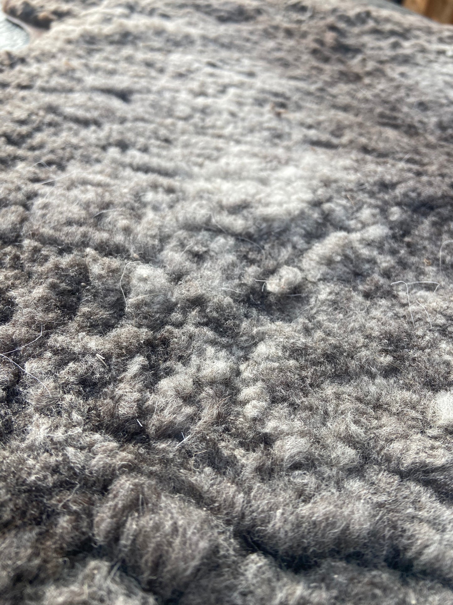 Close-up of Sheep Skin #12.