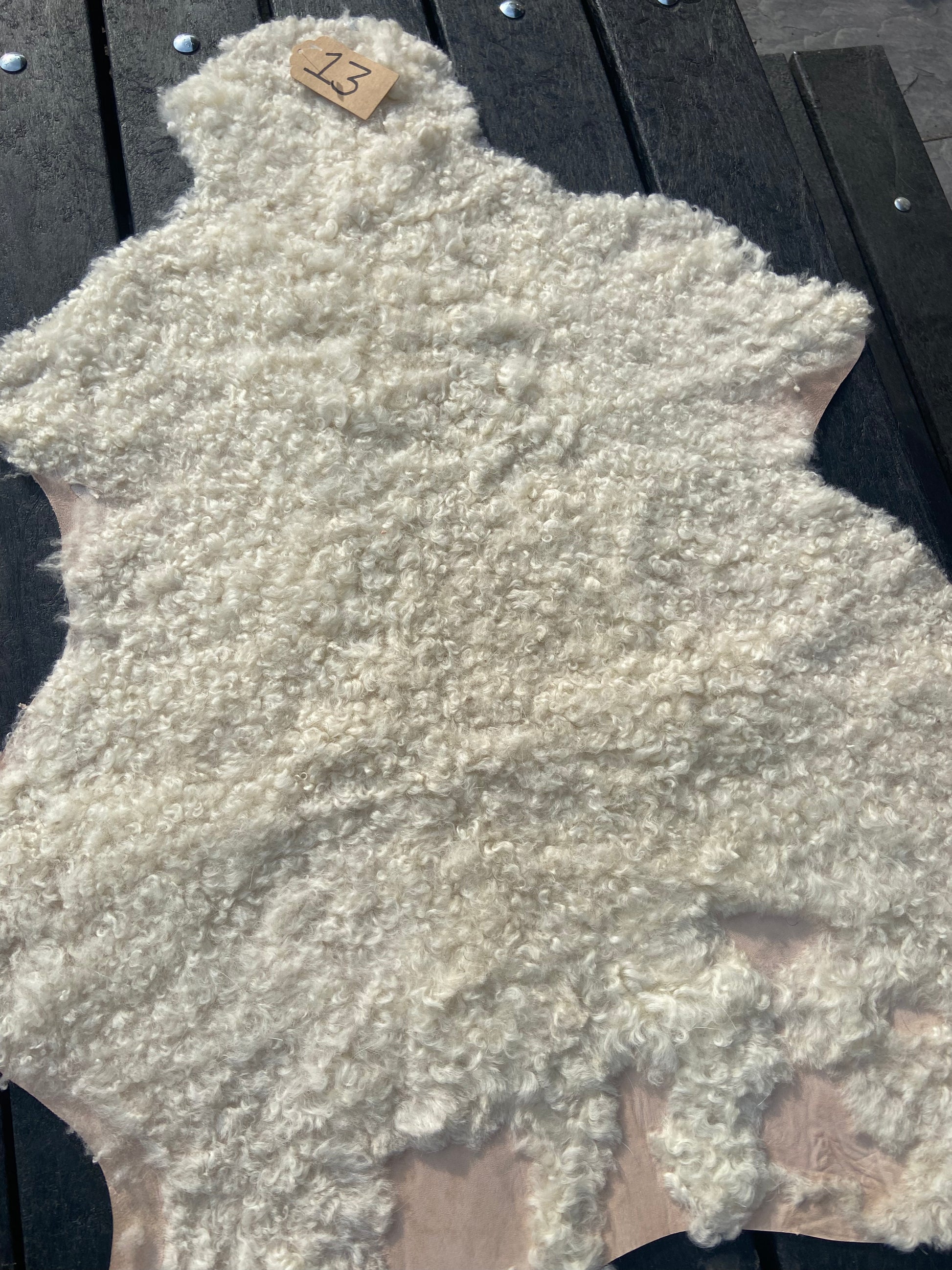 Sheep Skin #13.