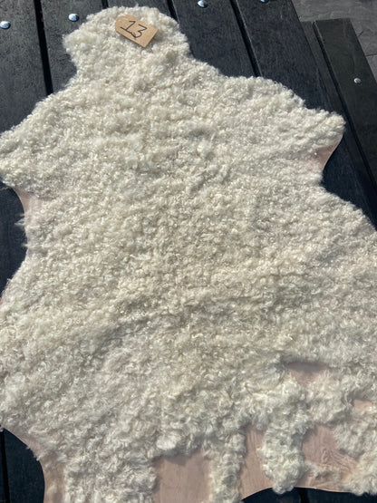 Sheep Skin #13.