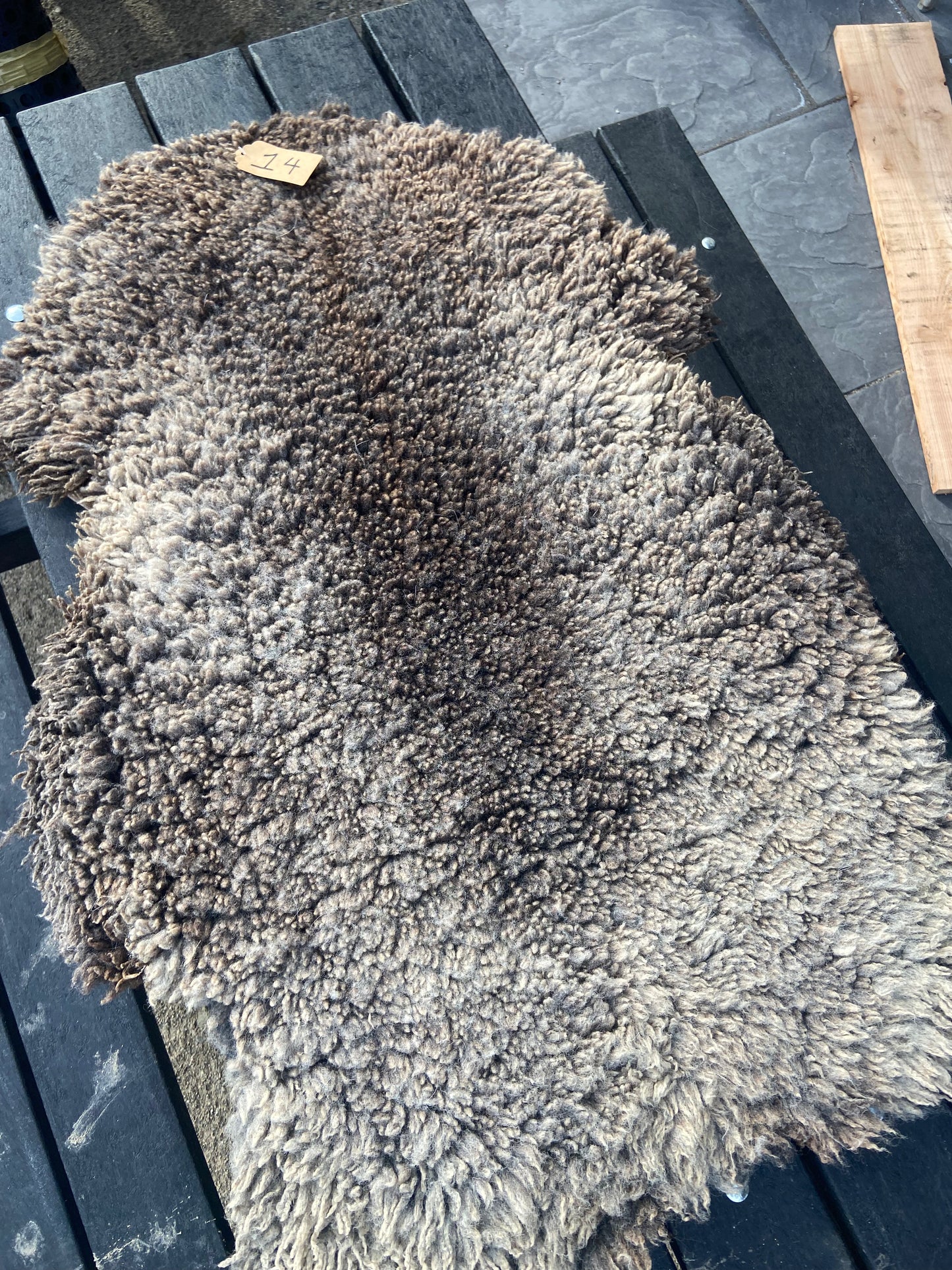 Sheep Pelt #14