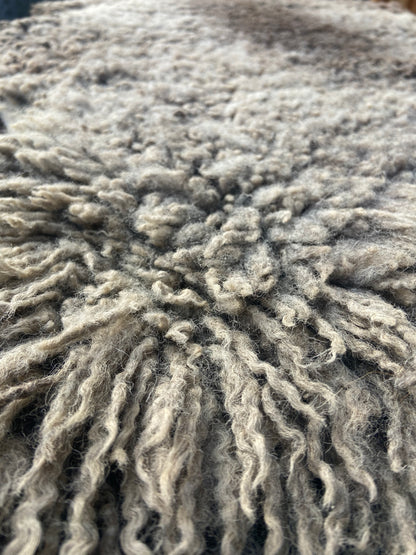 Sheep Pelt #14