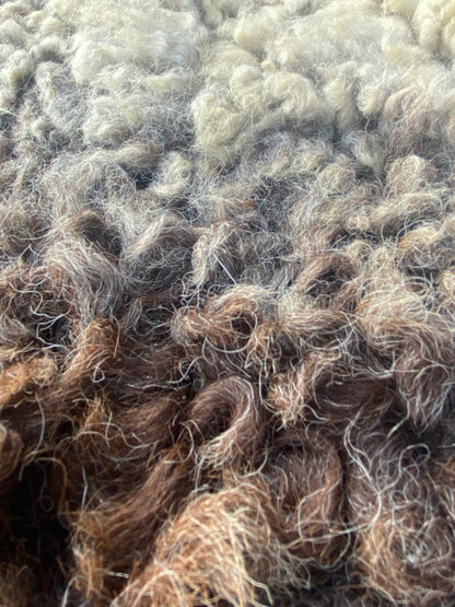 Close-up of Sheep Skin #15.