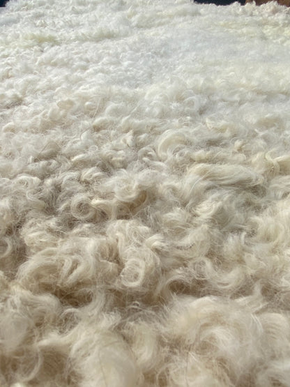 Close-up of Sheep Skin #16.
