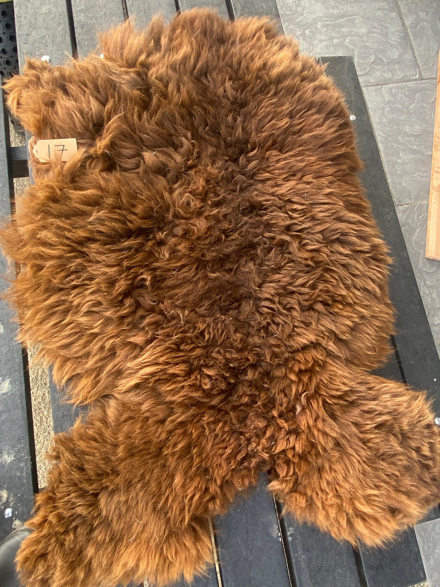 Alpaca Skin #17.