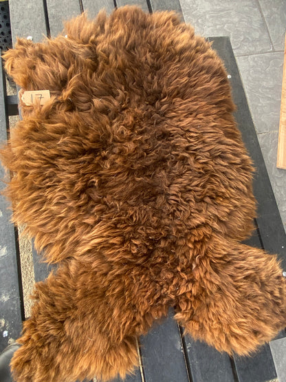 Alpaca Skin #17.