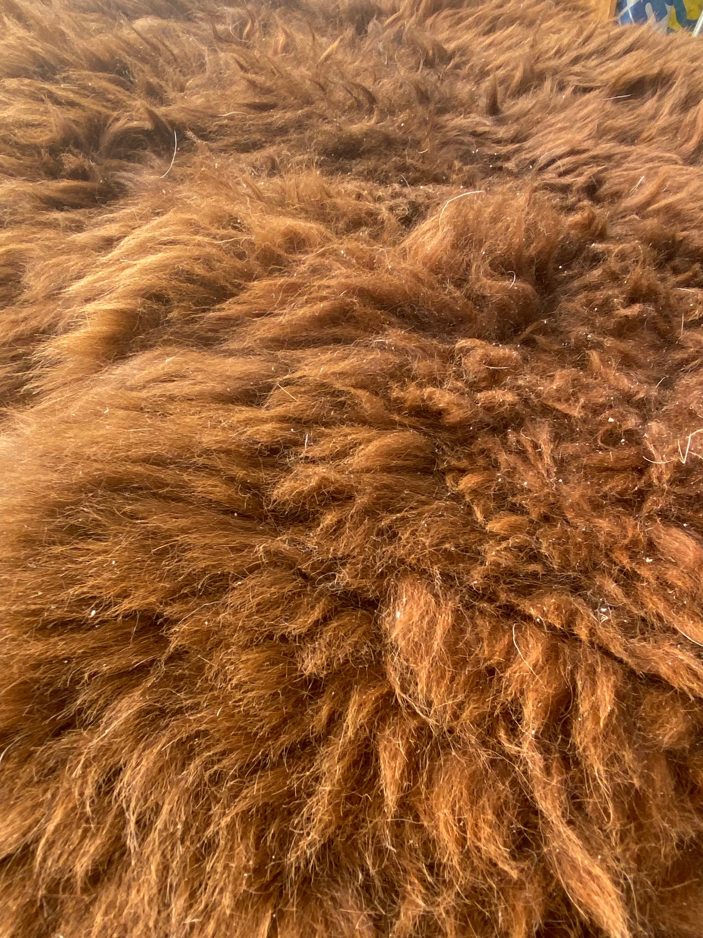 Close-up of Alpaca Skin #17.