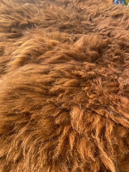 Close-up of Alpaca Skin #17.