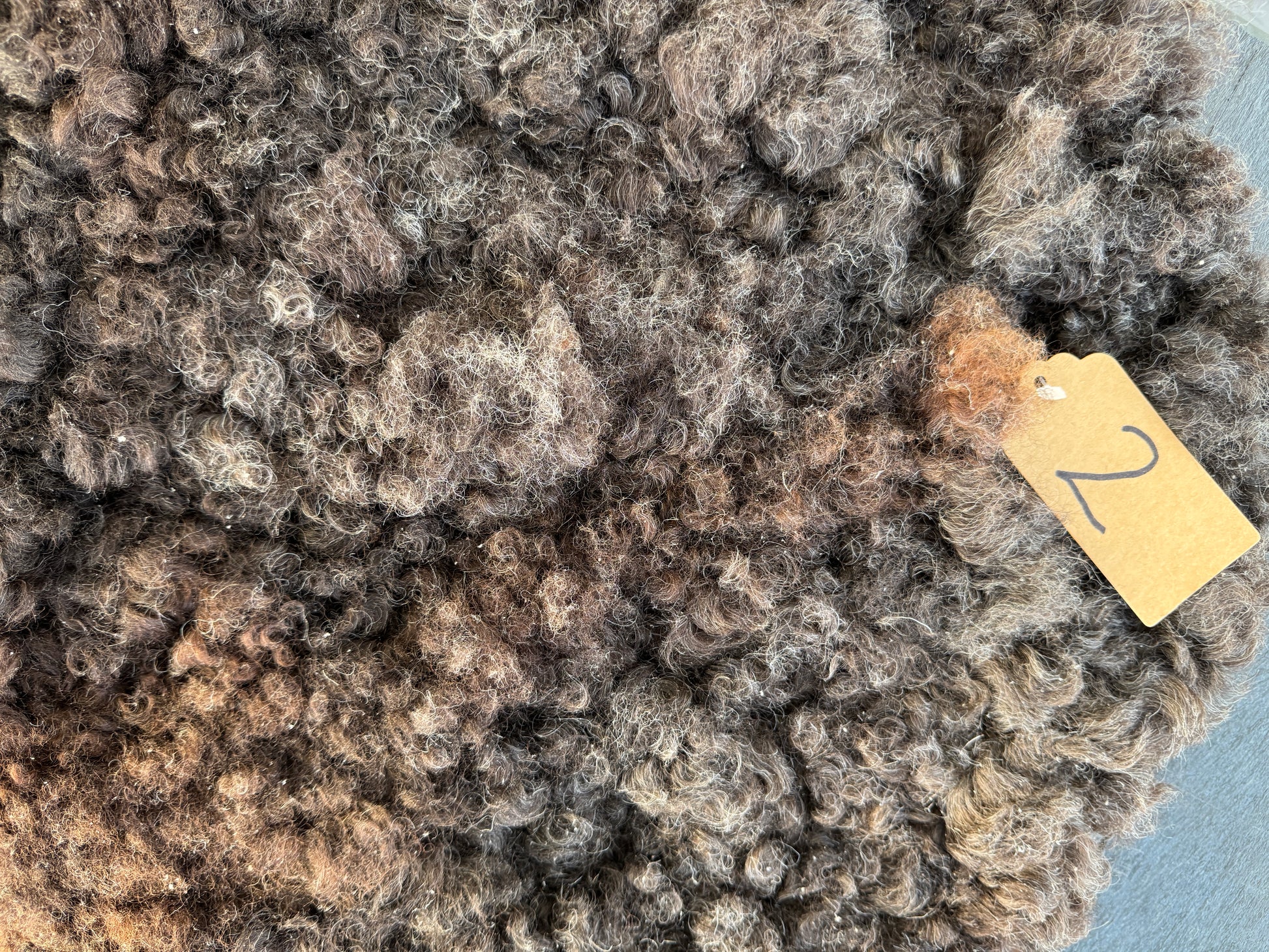 Close-up of Sheep Skin #2.