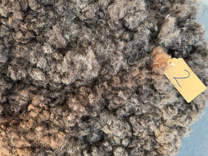 Close-up of Sheep Skin #2.