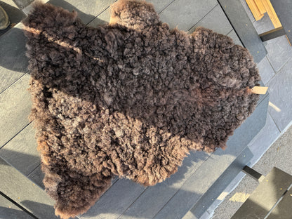 Sheep Skin #2.