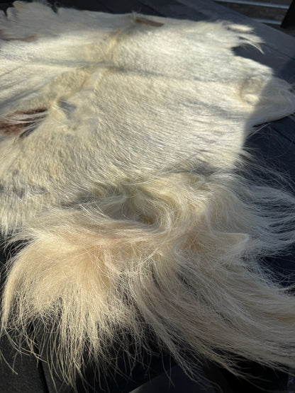 Close-up of Goat Skin #4.