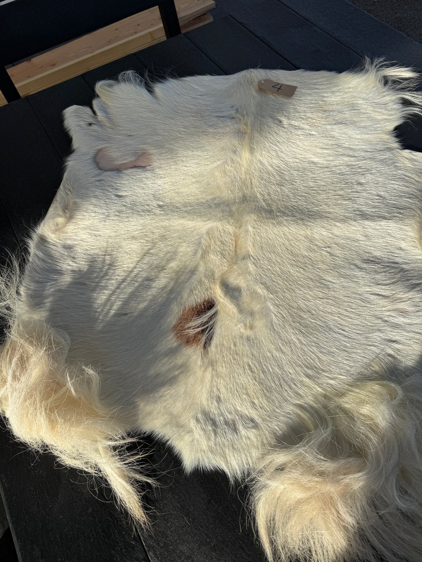 Goat Skin #4