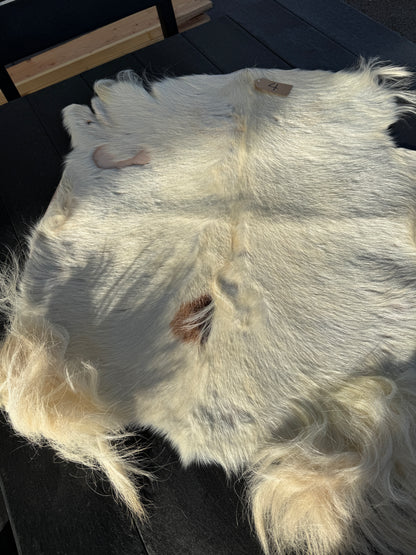Goat Skin #4