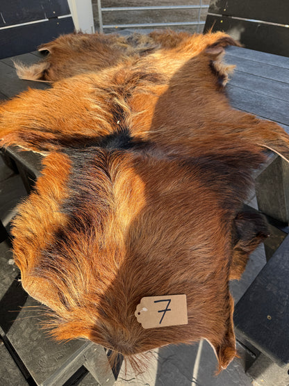 Goat Skin #7.