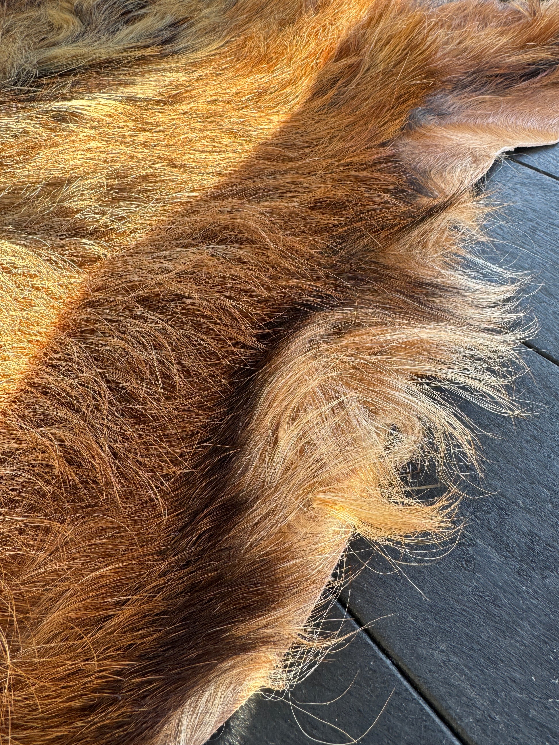 Close-up of Goat Skin #7.