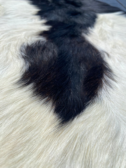 Close-Up of Goat Skin #8.