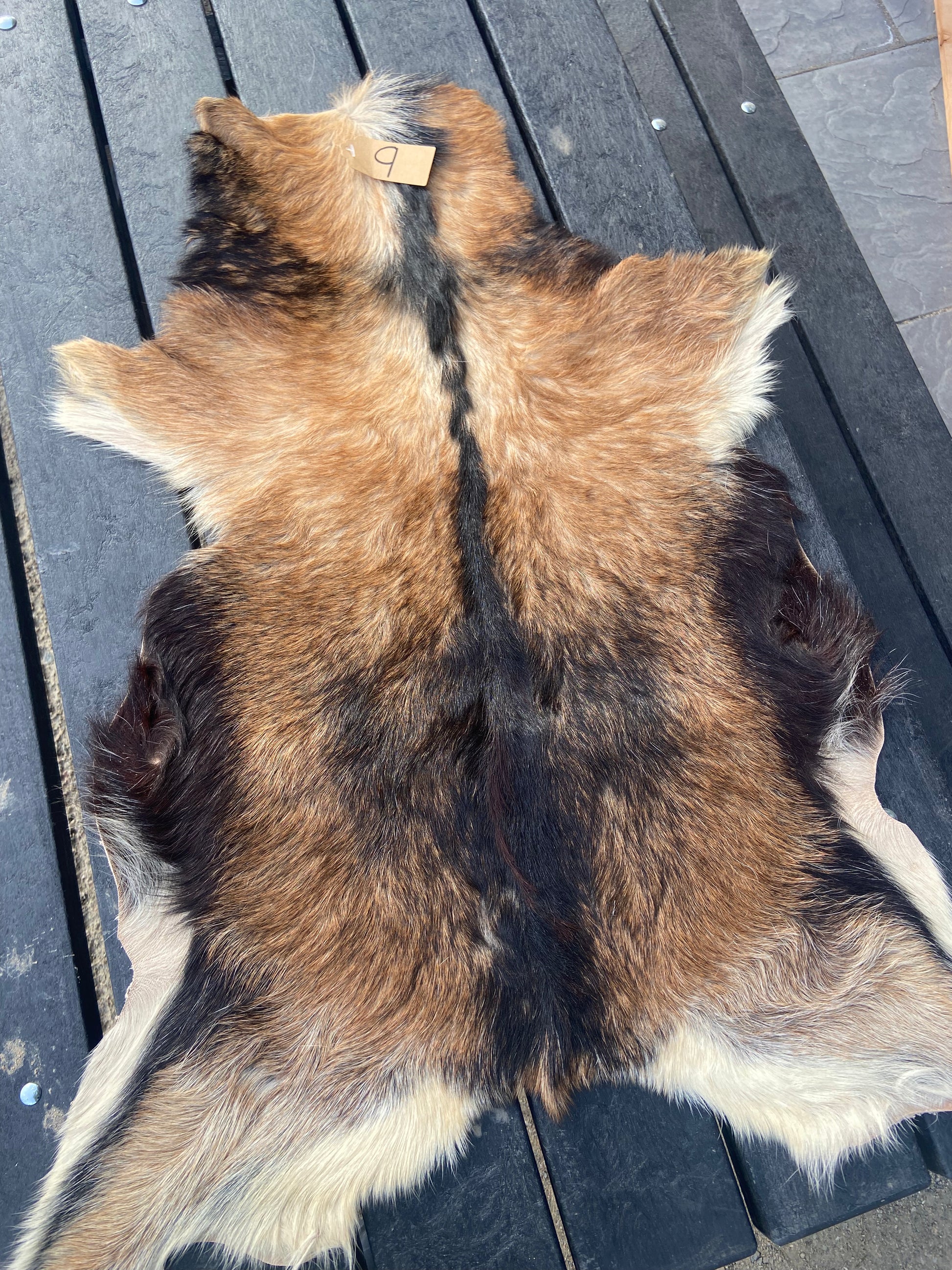 Goat Skin #9.