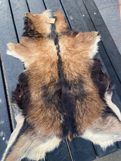 Goat Skin #9.