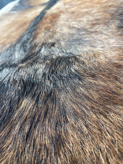 Close-up of Goat Skin #9.