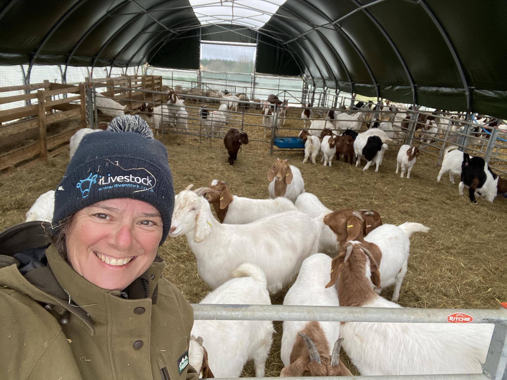 Julie with the goats.