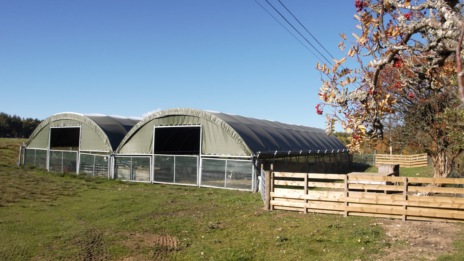Polytunnel 1 and 2.